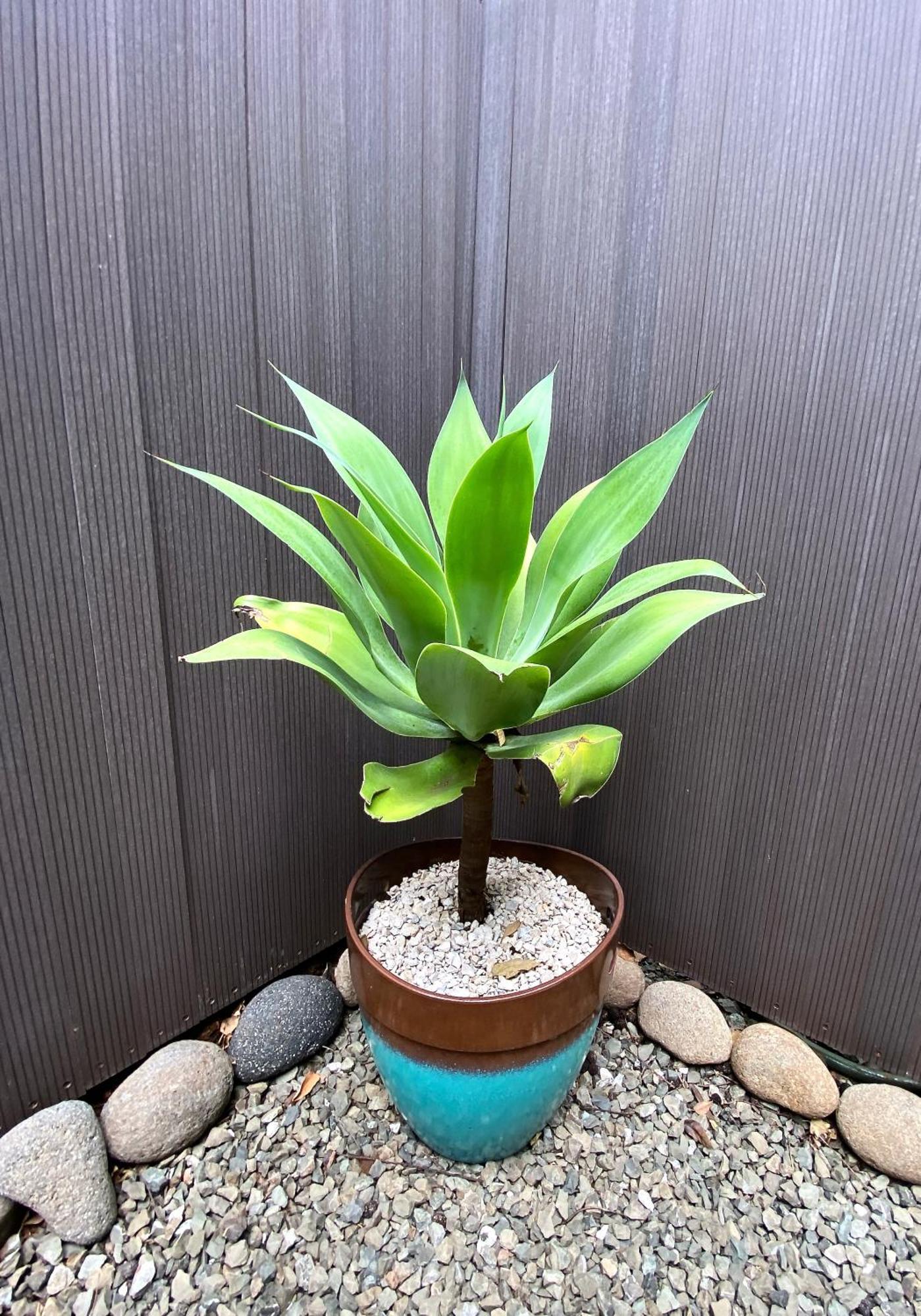 Villas Kalei 플라야 그란데 외부 사진