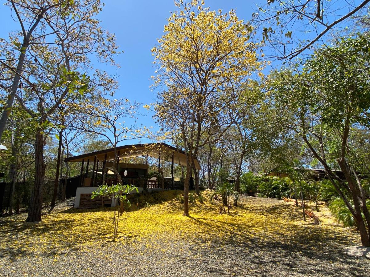 Villas Kalei 플라야 그란데 외부 사진